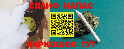 прущие грибы Дубна