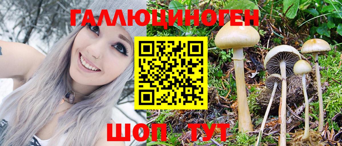 Псилоцибиновые грибы GOLDEN TEACHER Минеральные Воды