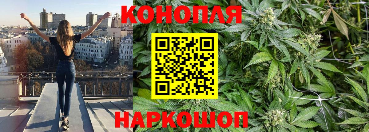 Канабис семена Минеральные Воды
